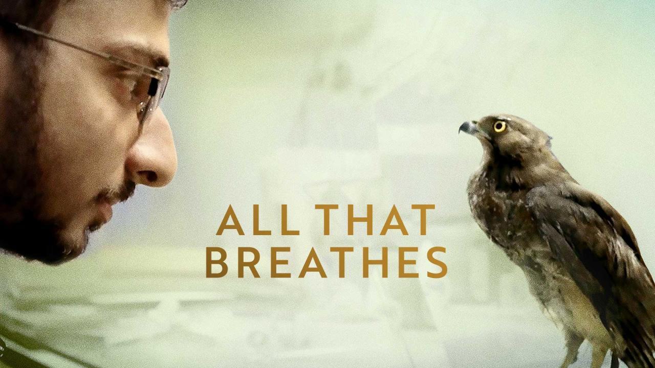 فيلم All That Breathes 2022 مترجم كامل اون لاين HD