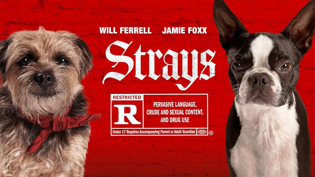 فيلم Strays 2023 مترجم كامل اون لاين HD