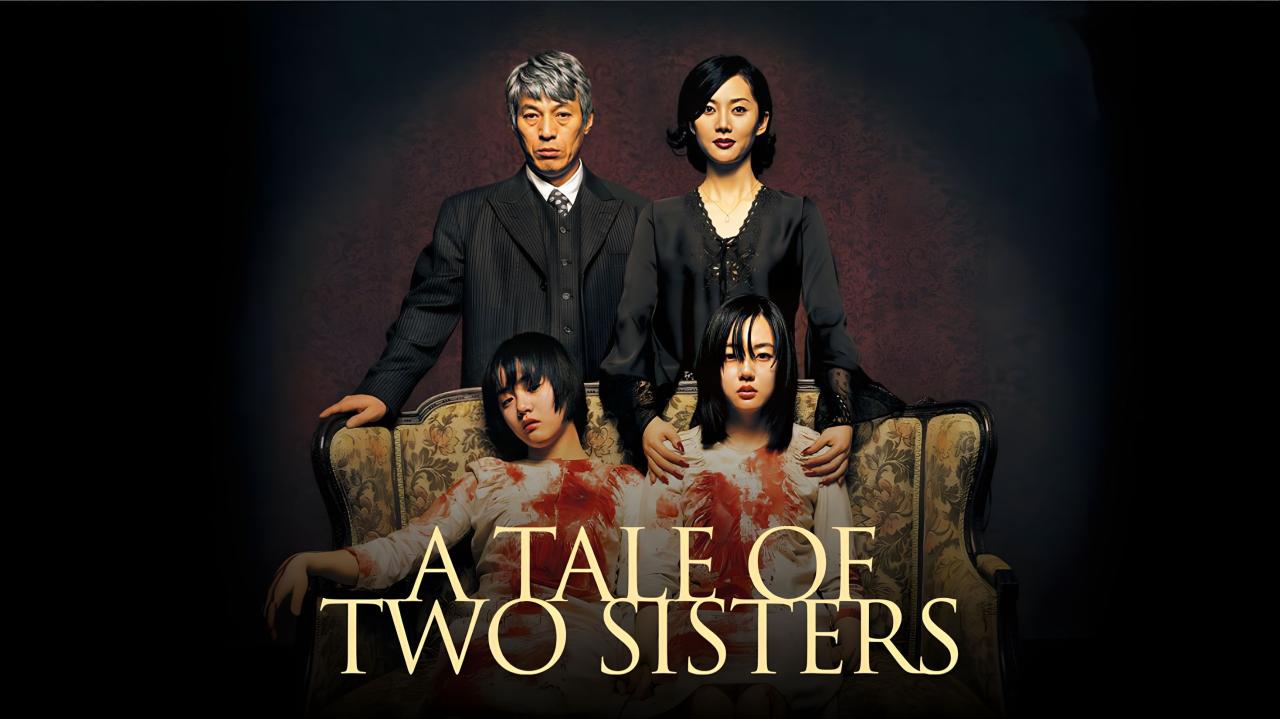 فيلم A Tale of Two Sisters 2003 مترجم كامل اون لاين HD